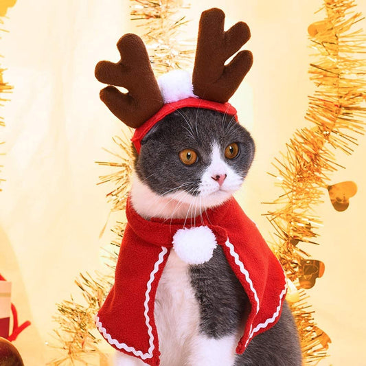 Reindeer with cape