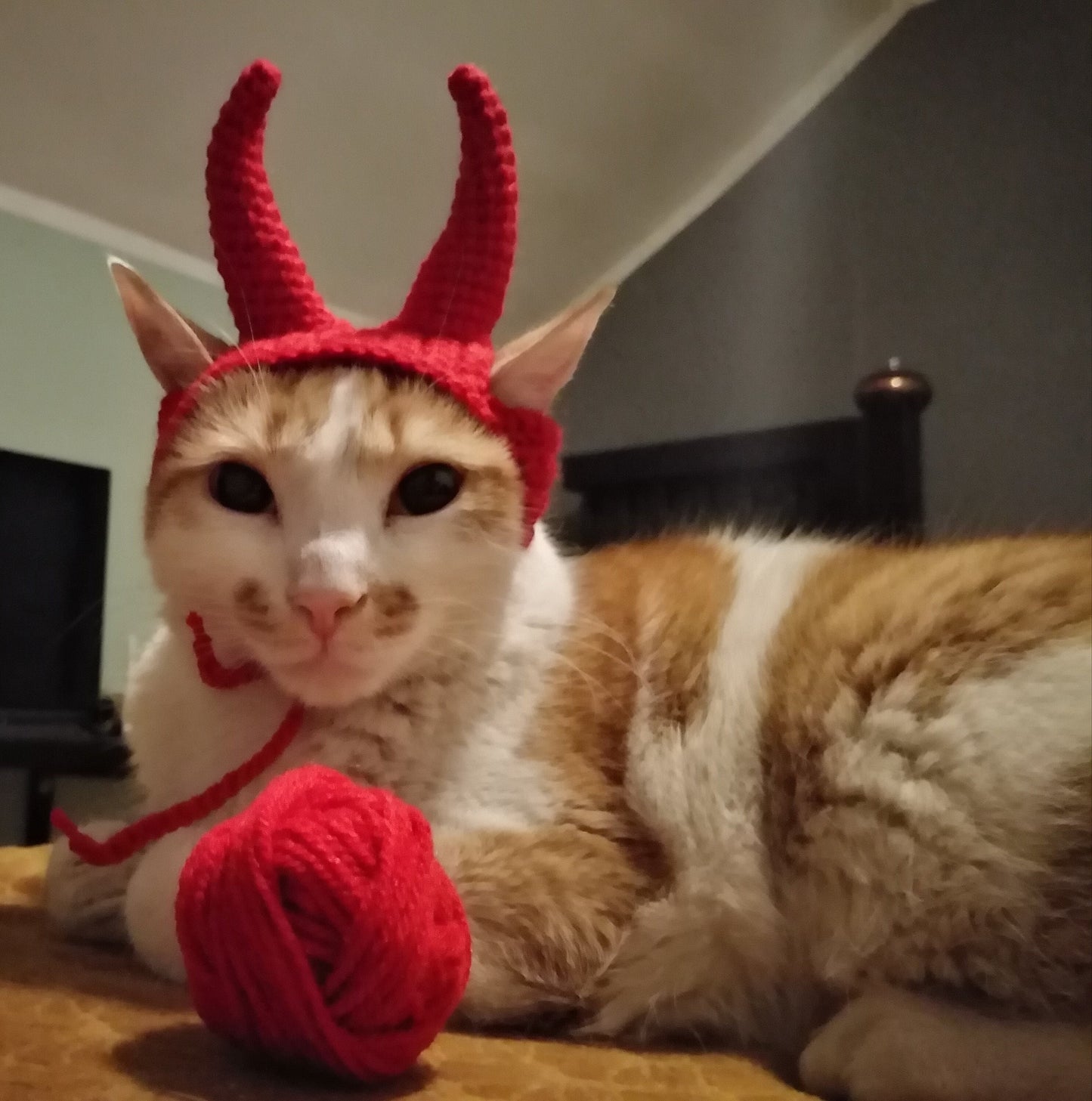 Devil hat